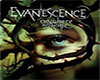 Evanescence Anywhere