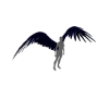 Venjii Dark Angle Wings