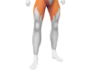 Lycanfox furkini