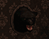 Black Bear / Wall Head