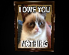 Z Grumpy Cat Frame 5