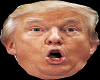 Donald Trump 2.0 Head