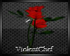[VC] 3 Red Roses