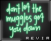 R║ Muggles Neon