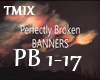 Perfectly Broken