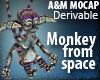 Monkey from space