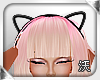 ☑ Cat Ear Black