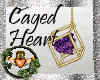 ~QI~Caged<3 EarringsG&PP