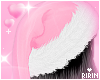 Santa's Baby Hat