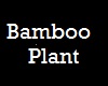 [A] bamboo plant