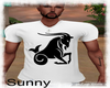*SW* Capricorn Top