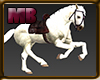 [6V2] HORSE WHITE
