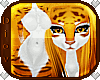 *D* Golden Tiger Furry