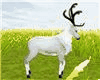 White Deer Furnitur