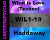 Haddaway-WhatIsLove