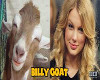 I' Taylor swift Goat VB