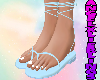 The Kim Flats Blue