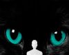 Cat teal eye background