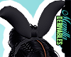 ! Black Bunny Ears