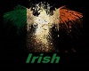Irish Hoody