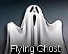 Flying Ghost Ani