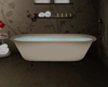 Broken- Bathtub