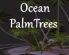 [BD]OceanPalmTrees