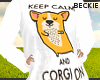 Corgi on! |B