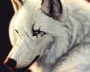 White Wolf Scars picture