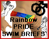 Rainbow PRIDE Swim Brief