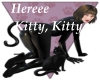 [J]Here Kitty Kitty