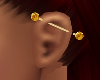 *TJ* Ear Piercing L G Y