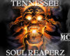 Ten Soul Reaperz MC Flag