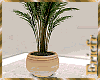 [Efr] Plant Interior 22