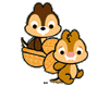 cutie chipmunks