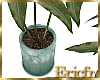 [Efr] Plant Banana Tree