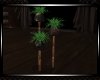 **Fantasy Planter 2