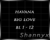 $ Havana Big Love