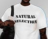 龍 Natural Selection