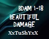 =T= BEAUTIFUL DAMAGE