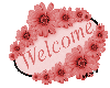 Welcome - red flowers