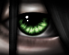 eyes [ 04 ] .f