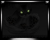 [Dk] Black cute kitten