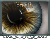 ß`Untitled Eyes | 4