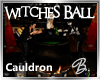 *B* Witches Ball Cauldrn