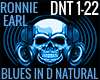 BLUES IN D NATURAL P2