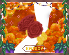 ꨄSparta Roses 18ꨄ