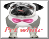 White Wedding Pet Pug