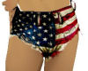 USA flag shorts