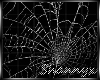 $ Spider Web Animated